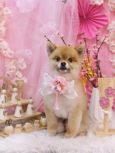 20250313たぬきちくん